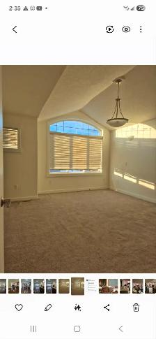 3 Bdrm 2.5Bthrm 2Lvrm House for Rent - Photo 10