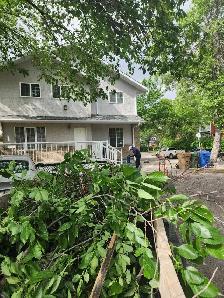 Junk Removal Regina - Photo 4