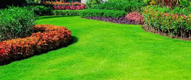 Lawn Care Service
