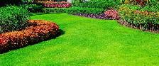 Lawn Care Service