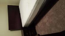 LEGAL BASEMENT FULLY FURNISHED WITH 2 BED ROOMS IN PARSONCREEK - Photo 2