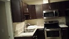 LEGAL BASEMENT FULLY FURNISHED WITH 2 BED ROOMS IN PARSONCREEK - Photo 5