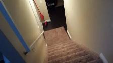 LEGAL BASEMENT FULLY FURNISHED WITH 2 BED ROOMS IN PARSONCREEK - Photo 8