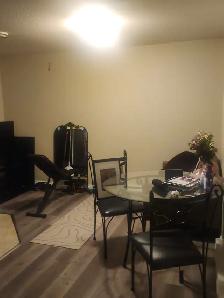 LEGAL BASEMENT FULLY FURNISHED WITH 2 BED ROOMS IN PARSONCREEK - Photo 10
