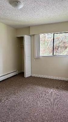 RENTAL INCENTIVE! Renovated 2 bed 2 bath available now at Delta - Photo 5