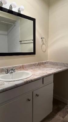 RENTAL INCENTIVE! Renovated 2 bed 2 bath available now at Delta - Photo 8