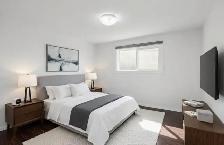 House For Rent Near UOM 4B 2Bth - Photo 4
