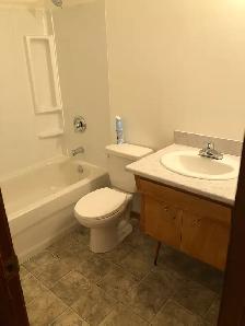 1 Bedroom Apartment For Rent - Photo 8