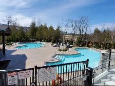 Seasonal Lease – Blue Mountain - 4 months - Photo 2