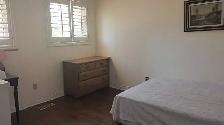 Short-term rental $50 per night in North York - Photo 4