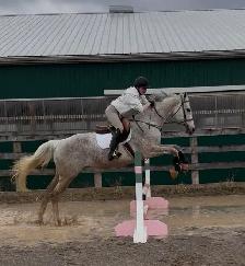 Horses for part board in Milton! - Photo 5