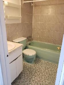 Dorval: Studio 1.5 - $785 - Aug 1 / 1er août - Photo 4