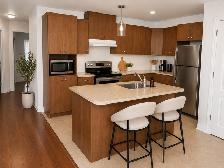 4 ½ À LOUER – 4340 boul. St-Laurent, Sainte-Catherine1 625 $/mo - Photo 3