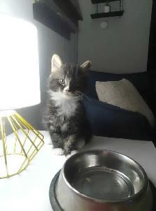 handsome little boys - Photo 3