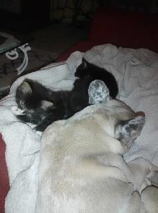 handsome little boys - Photo 4