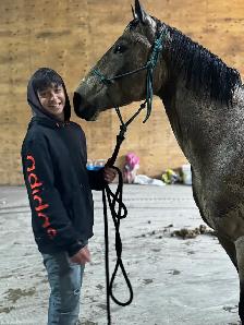 Horse Training - NOW TAKING NEW CLIENTS - Photo 2
