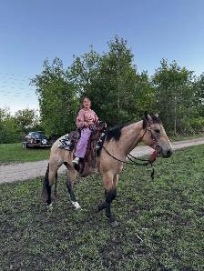 Horse Training - NOW TAKING NEW CLIENTS - Photo 4