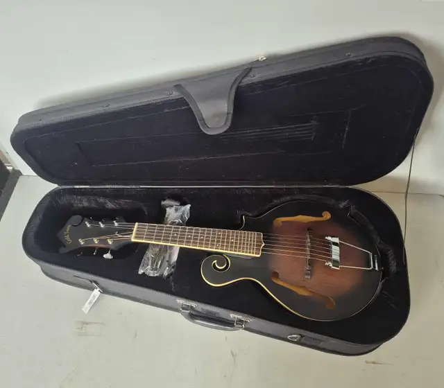 Gold Tone Guitar (32731407)