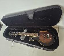 Gold Tone Guitar (32731407)