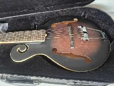 Gold Tone Guitar (32731407) - Photo 5
