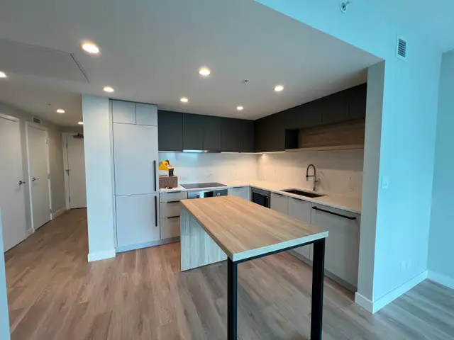 Burquitlam – Brand New 2 Bedroom   2 Bathroom at Myriad