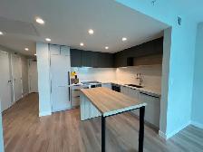 Burquitlam – Brand New 2 Bedroom   2 Bathroom at Myriad