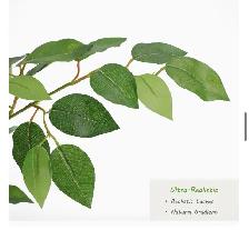 Nafresh 6-Foot Artificial Ficus Tree with Pot - Photo 3