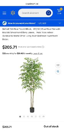 Nafresh 6-Foot Artificial Ficus Tree with Pot - Photo 9