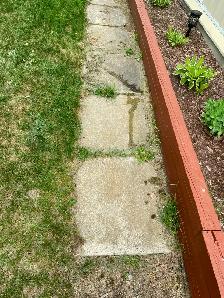 7 Patio stones to give away (Many uses !)