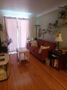 3 ½ à louer – Rosemont–La Petite-Patrie 1130$/mois - Photo 4