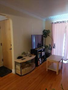 3 ½ à louer – Rosemont–La Petite-Patrie 1130$/mois - Photo 5