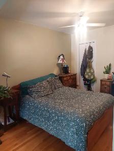 3 ½ à louer – Rosemont–La Petite-Patrie 1130$/mois - Photo 7