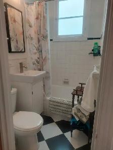3 ½ à louer – Rosemont–La Petite-Patrie 1130$/mois - Photo 8