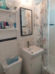 3 ½ à louer – Rosemont–La Petite-Patrie 1130$/mois - Photo 9