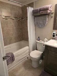 Just reduced! Gorgeous 2 bed/2 bath condo in Osoyoos - Photo 6
