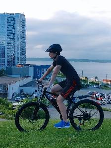 Vélo électrique - 350W 36V 8Ah batterie 21 vitesse