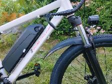 Vélo électrique - 350W 36V 8Ah batterie 21 vitesse - Photo 6