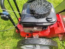 Troy-Bilt Trimmer Mower - Photo 9