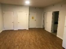 July 1  Modern Bachelor Apartment $1500 Green Street  All Inc! - Photo 3