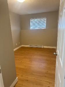 QUALITY NEWER 2 BEDROOM SUITE – PRIVATE DRIVEWAY & 6 APPLIANCES - Photo 5