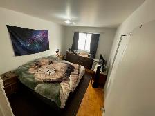 Nice, spacious 2-bedroom apartment in the heart of Brossard - Photo 9