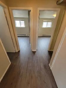 2 BEDROOM APARTMENT(1YR-LEASE) FOR RENT IN BEAUTIFUL ST-ANTOINE! - Photo 5