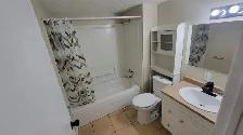 2 BEDROOM APARTMENT(1YR-LEASE) FOR RENT IN BEAUTIFUL ST-ANTOINE! - Photo 7