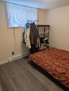 Newly renovated 1 Bed / 1 Bath Hull apartment available July 1 - Photo 4
