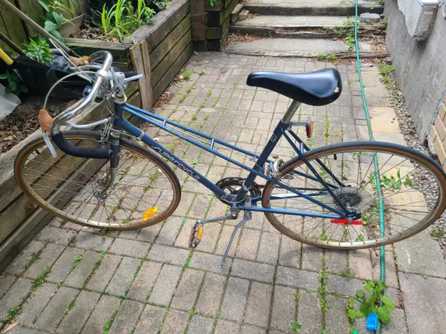 Supercycle 12 Speed Bicycle