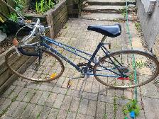 Supercycle 12 Speed Bicycle