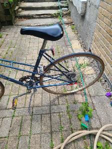 Supercycle 12 Speed Bicycle - Photo 3