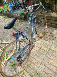 Supercycle 12 Speed Bicycle - Photo 5
