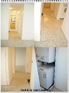Bright Clean 1 Bedroom Rental Available at 1600 Adelaide Street - Photo 5
