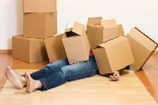 MOVING & UNLOADING TRUCK - Photo 2